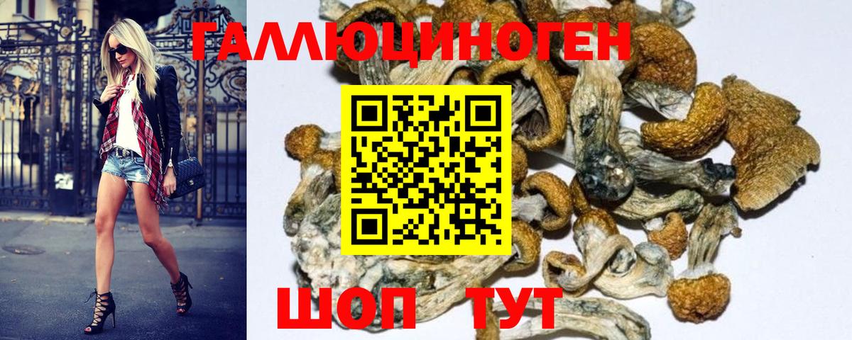 Галлюциногенные грибы GOLDEN TEACHER Вязьма