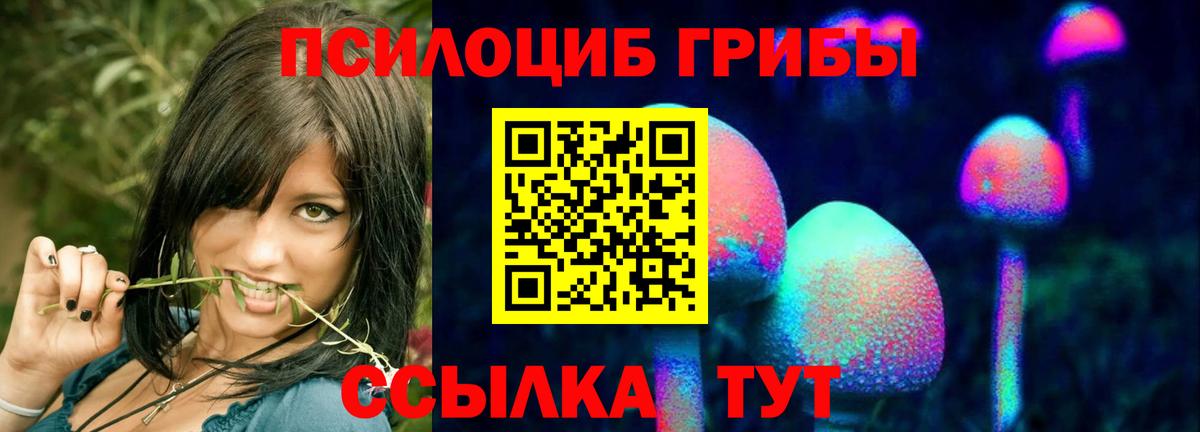 где можно купить наркотик  Псилоцибиновые грибы ЛСД  Вход с VPN  Вязьма  Галлюциногенные грибы Cubensis 